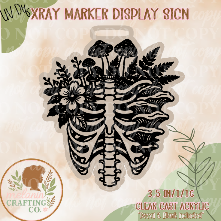 Skeleton Mushroom X-Ray Markers Acrylic Blank Display Cards