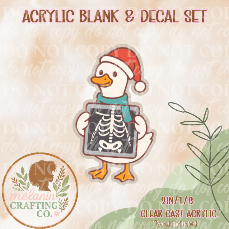 Radiologist Goose Acrylic Blank & Decal Set