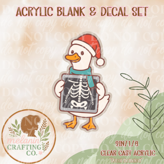 Radiologist Goose Acrylic Blank & Decal Set