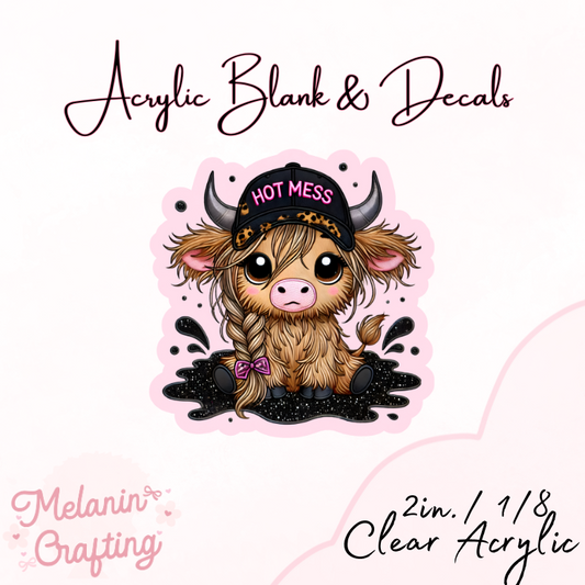 Hot Mess Acrylic Blank & Decal Set