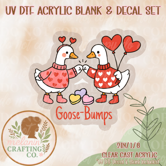 Goose Bumps UV Dtf Acrylic Blank & Decal Set