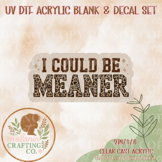 I Could Be Meaner UV Dtf Acrylic Blank & Decal Set