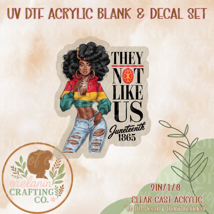 They Not Like Us UV DTF Acrylic Blank & Decal Set