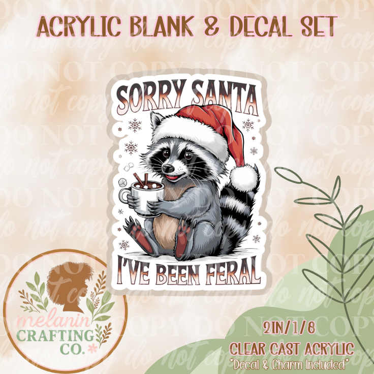 Sorry Santa Acrylic Blank & Decal Set