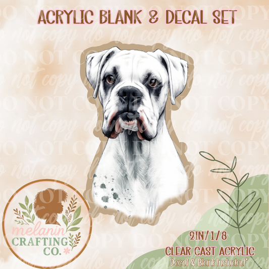 White Boxer (Bojangles)